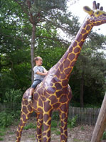 Hortsik, girafje